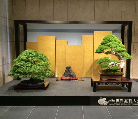 如何正确理解与应对日常生活中的情绪宣泄:以“啊啊啊啊啊”为例
